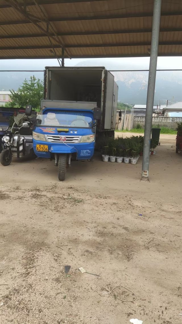 装车点车辆打开车厢等待栀子花批量装车